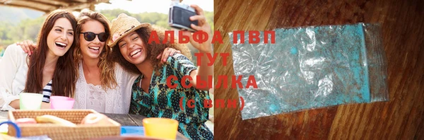 СК Алексин