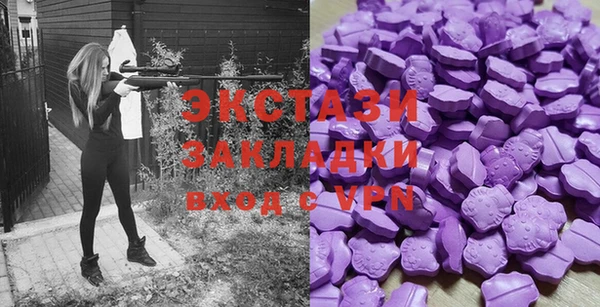 СК Алексин